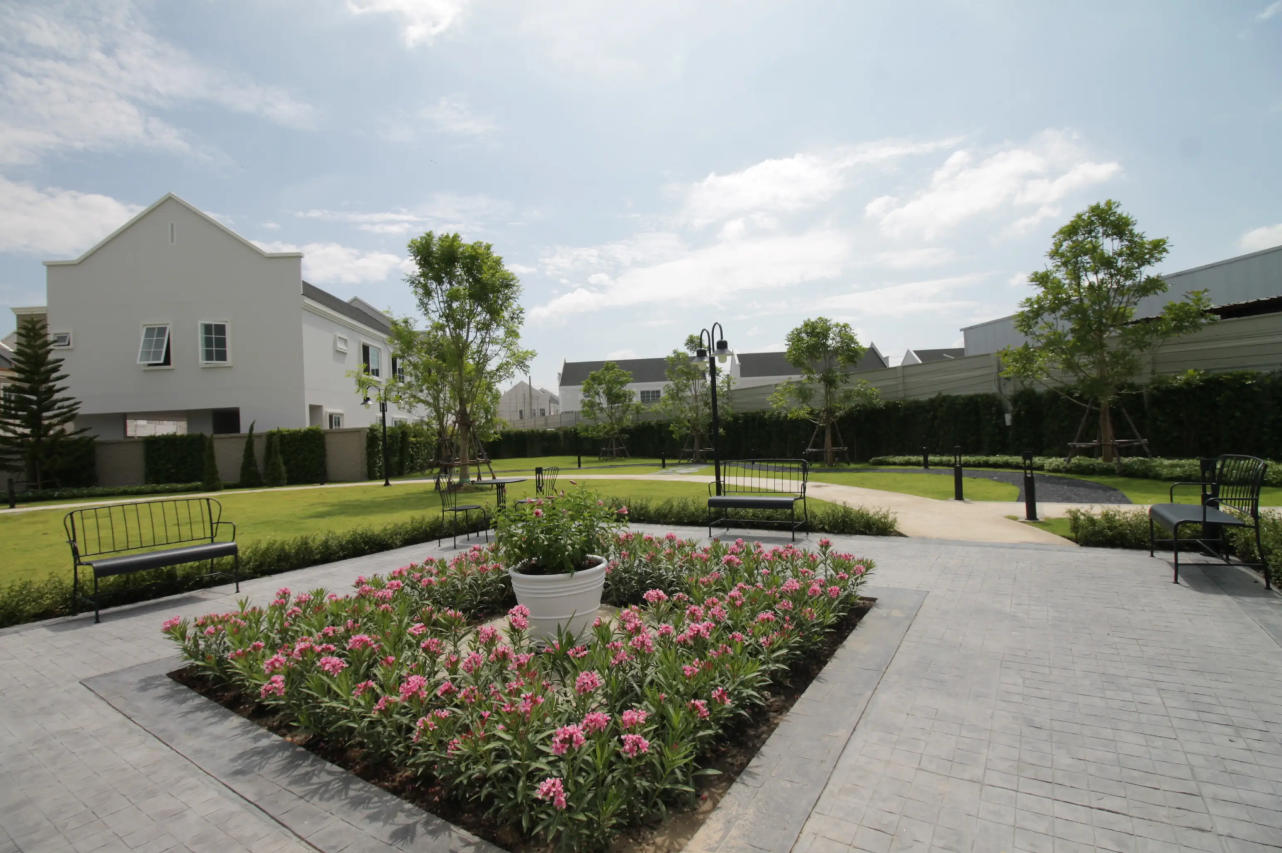 Garden 3