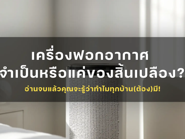 เครื่องฟอกอากาศ จำเป็นหรือแค่ของสิ้นเปลือง อ่านจบแล้วคุณจะรู้ว่าทำไมทุกบ้านต้องมี   akralandandhouse