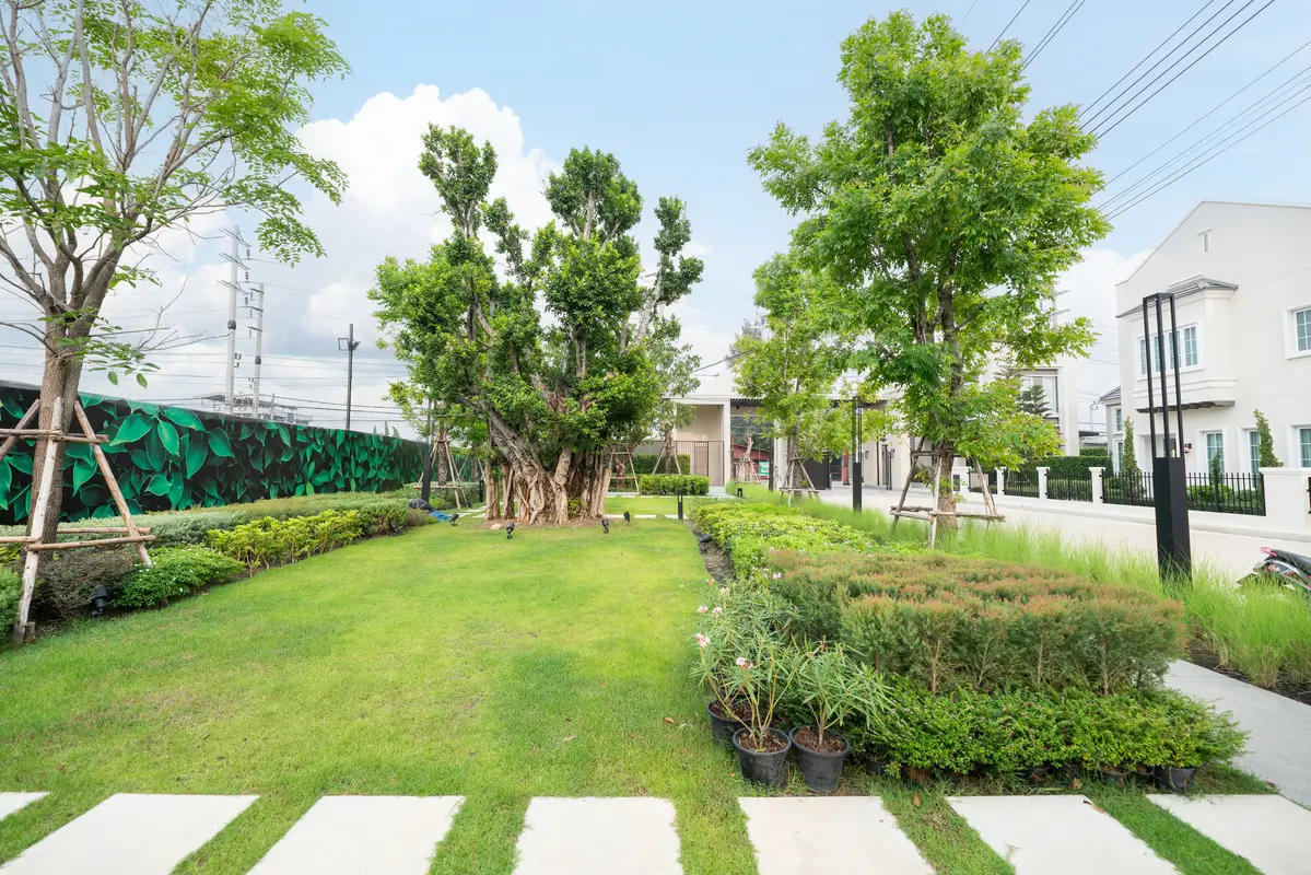 Garden 2