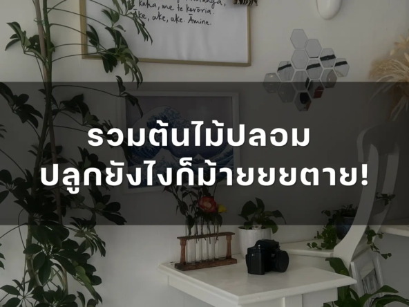 รวมต้นไม้ปลอม ปลูกยังไงก็ม้ายยยตาย   อัคร บ้านและที่ดิน