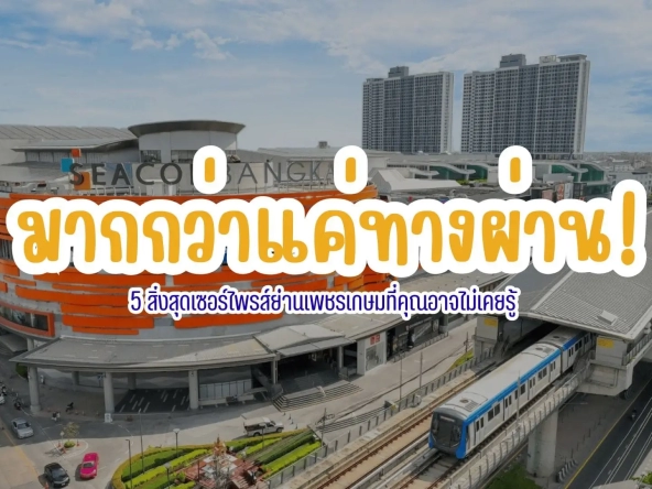 มากกว่าแค่ทางผ่าน 5 สิ่งสุดเซอร์ไพรส์ย่านเพชรเกษมที่คุณอาจไม่เคยรู้ | akra land and house