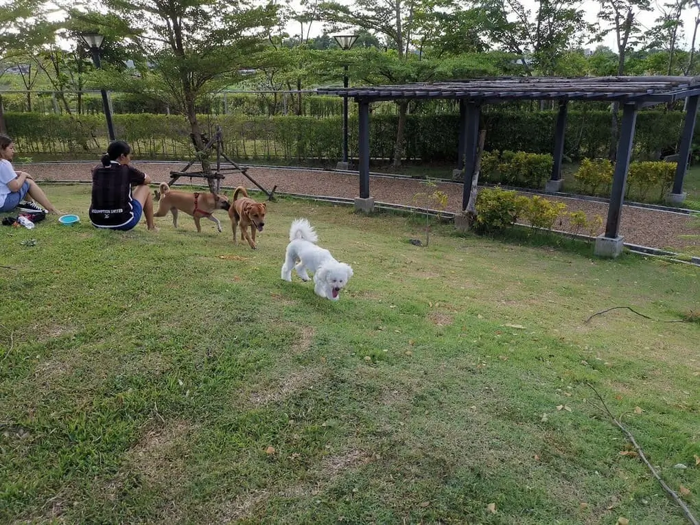 พาน้องหมาเที่ยว สวนบางแคภิรมย์ มีอะไรน่าสนใจ เดินทางยังไง | akra land and house
