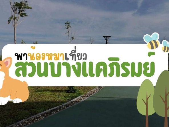 พาน้องหมาเที่ยว สวนบางแคภิรมย์ มีอะไรน่าสนใจ เดินทางยังไง | akra land and house