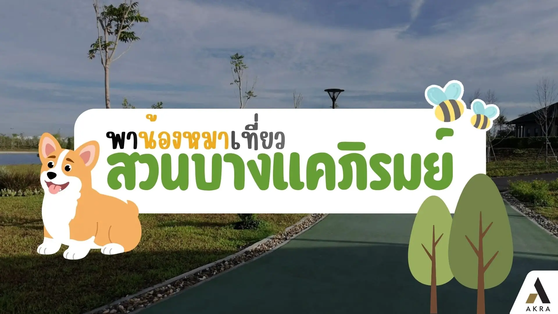พาน้องหมาเที่ยว สวนบางแคภิรมย์ มีอะไรน่าสนใจ เดินทางยังไง | akra land and house