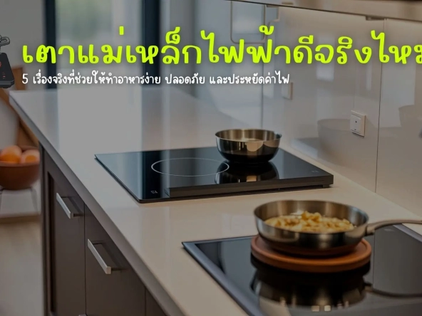 เตาแม่เหล็กไฟฟ้า | akra land and house