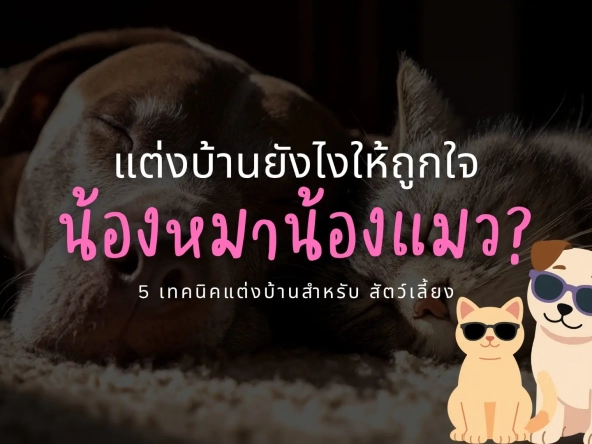 แต่งบ้านยังไงให้ถูกใจน้องหมาน้องแมว 5 เทคนิคแต่งบ้านสำหรับ สัตว์เลี้ยง | akra land and house