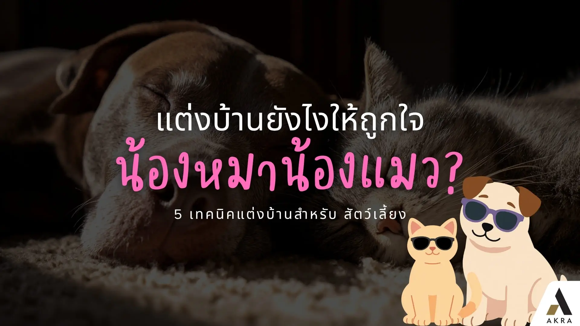 แต่งบ้านยังไงให้ถูกใจน้องหมาน้องแมว 5 เทคนิคแต่งบ้านสำหรับ สัตว์เลี้ยง | akra land and house