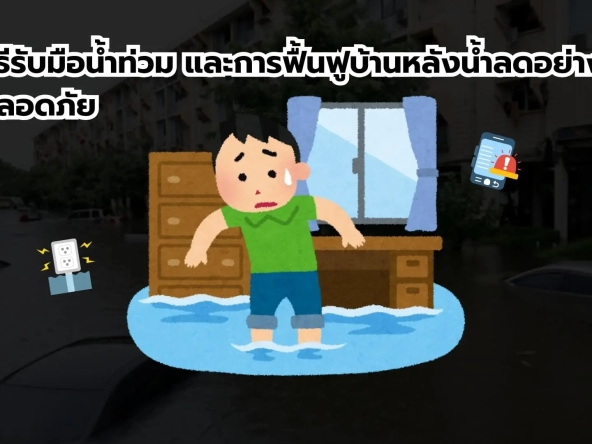 วิธีรับมือน้ำท่วม และการฟื้นฟูบ้านหลังน้ำลดอย่างปลอดภัย | akra land and house