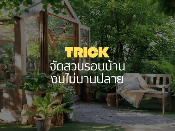 Trick จัดสวนรอบบ้านงบไม่บานปลาย ดูแลง่าย สบายกระเป๋า | akra land and house